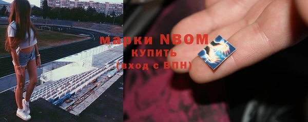 молекула духа Алексеевка