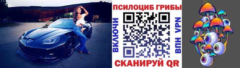 blacksprut вход  где купить наркотик  Шебекино  Галлюциногенные грибы прущие грибы 